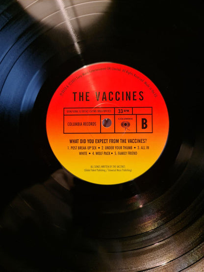 The Vaccines : What Did You Expect from The Vaccines? (LP, RE, 180)