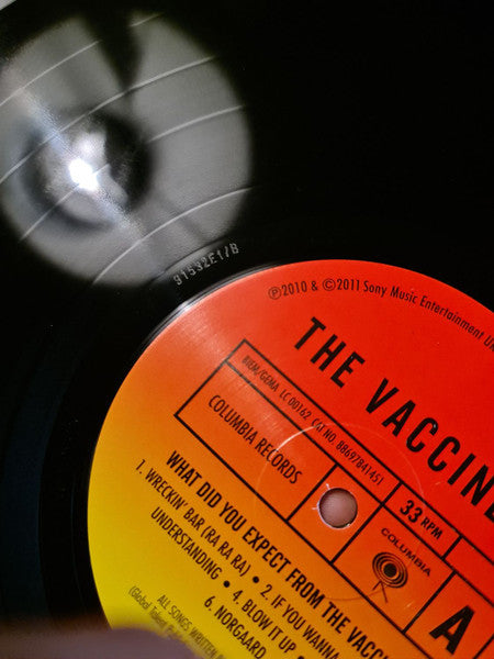 The Vaccines : What Did You Expect from The Vaccines? (LP, RE, 180)
