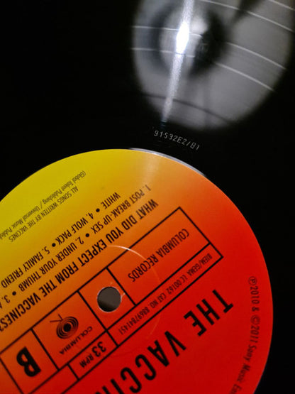 The Vaccines : What Did You Expect from The Vaccines? (LP, RE, 180)