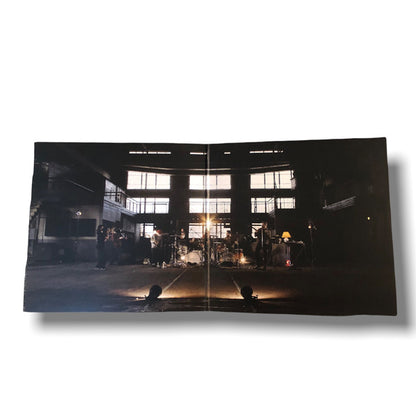 Osees* : Levitation Sessions II (2xLP, Album, Ltd, Tra)