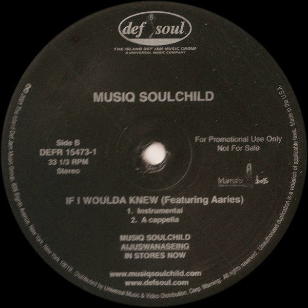 Musiq Soulchild Feat. Aaries : If I Woulda Knew (12", Promo)