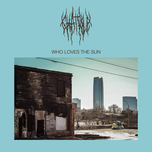 Chat Pile - Who Loves The Sun cover artwork