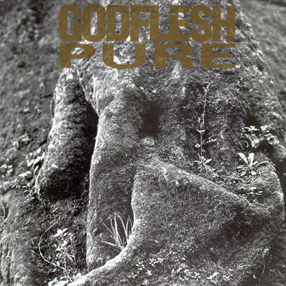 Godflesh : Pure (LP, Album)