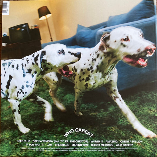 Rex Orange County : Who Cares? (LP, Album, Emb)
