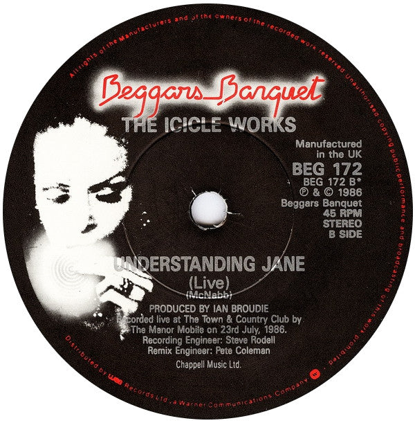 The Icicle Works : Who Do You Want For Your Love? (7", Single)