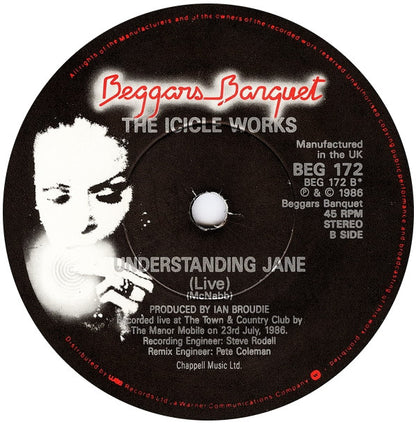 The Icicle Works : Who Do You Want For Your Love? (7", Single)