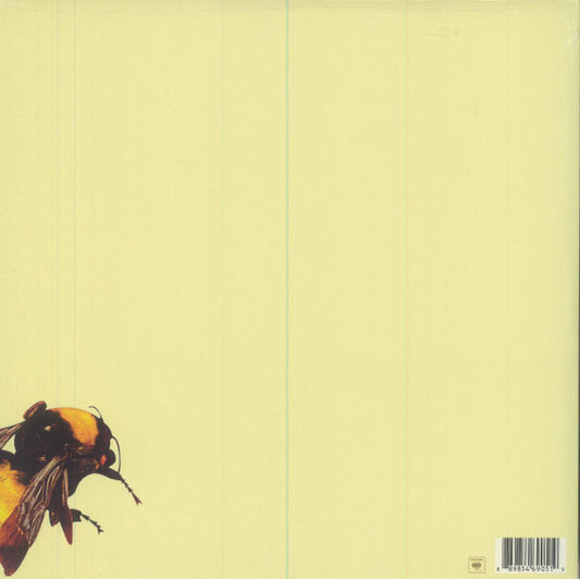 Tyler, The Creator : Scum Fuck Flower Boy (2x12", Album, Gat)