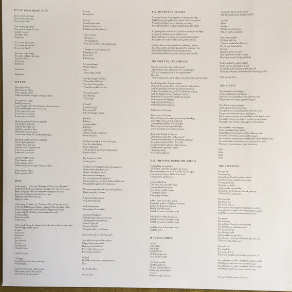 Destroyer (4) : Labyrinthitis (LP, Album, Ltd, Cle)