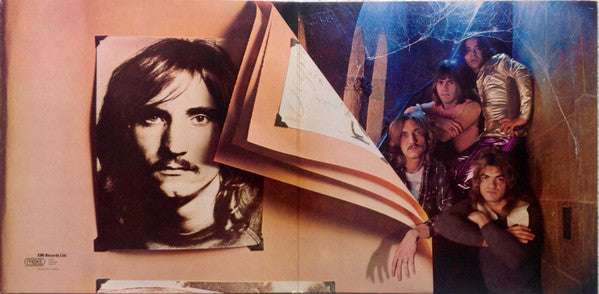 Joe Walsh : The Smoker You Drink, The Player You Get (LP, Album, Gat)