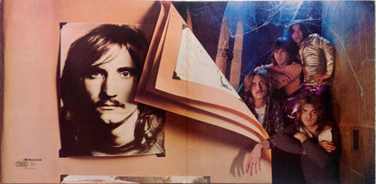 Joe Walsh : The Smoker You Drink, The Player You Get (LP, Album, Gat)