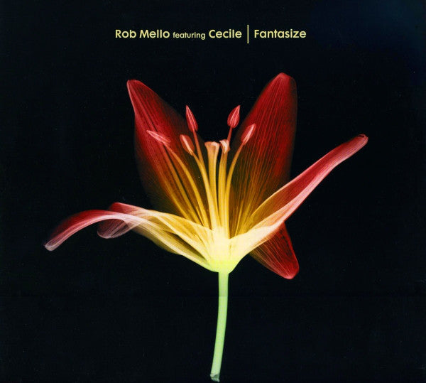 Rob Mello Featuring Cécile : Fantasize (12")