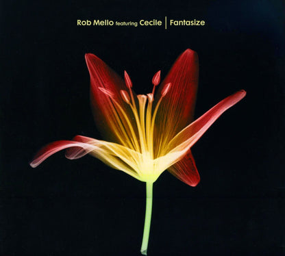 Rob Mello Featuring Cécile : Fantasize (12")