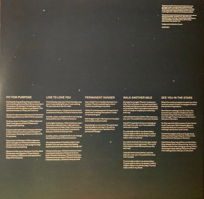 Lightning Seeds : See You In The Stars (LP, Album, Ltd, Blu)