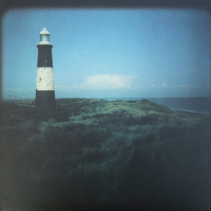 Blue Roses (2) : Blue Roses (LP, Album)