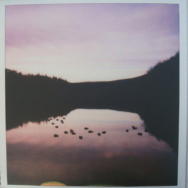 Blue Roses (2) : Blue Roses (LP, Album)