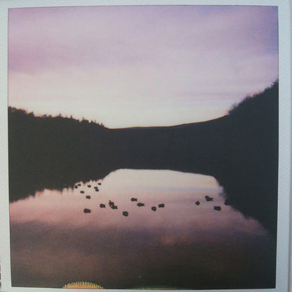 Blue Roses (2) : Blue Roses (LP, Album)