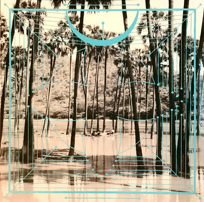 Four Tet : Pink (2xLP, Album, RE)