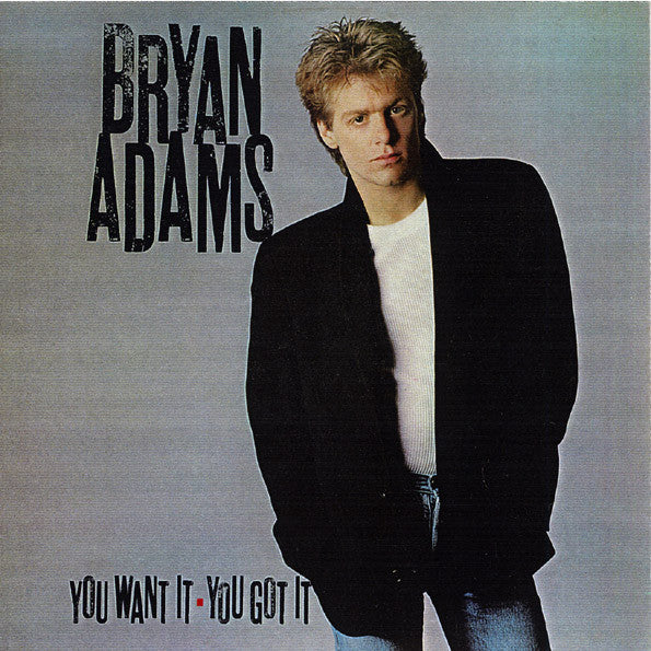 Bryan Adams : You Want It, You Got It (LP, Album)