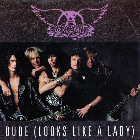 Aerosmith : Dude (Looks Like A Lady) (7", Single)