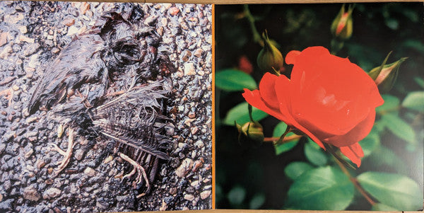 John Grant : Queen Of Denmark (2xLP, Album, RE)