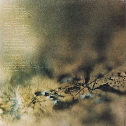 Tangerine Dream : Rubycon (LP, Album, RE)