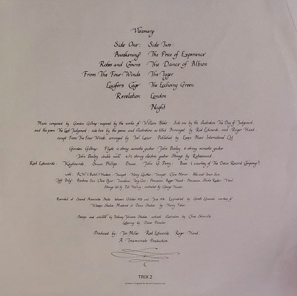 Gordon Giltrap : Visionary (LP, Album)