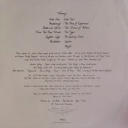 Gordon Giltrap : Visionary (LP, Album)