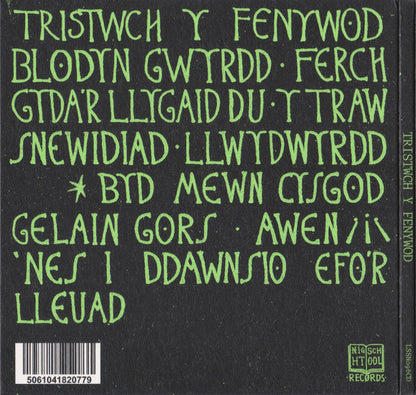 Tristwch Y Fenywod : Tristwch Y Fenywod (CD, Album, Ltd)