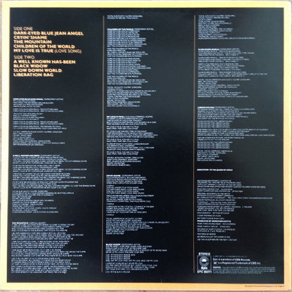 Donovan : Slow Down World (LP, Album)