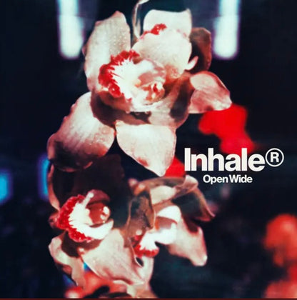 Inhaler (12) : Open Wide (LP, Album, Ltd, Cle)