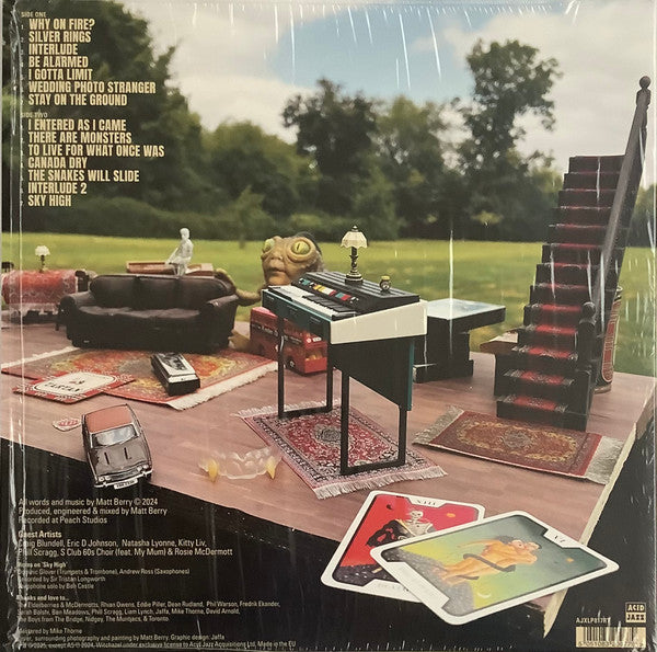 Matt Berry (3) : Heard Noises (LP, Album, Ltd, Ser)