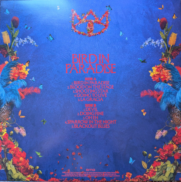 The Cat Empire : Bird in Paradise (LP, Blu)