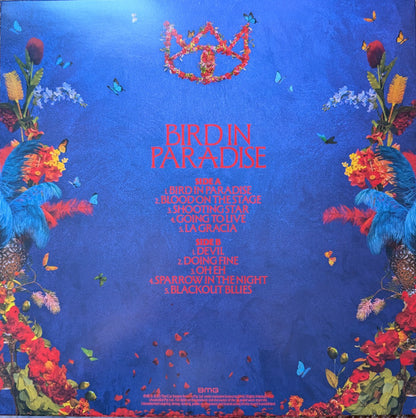 The Cat Empire : Bird in Paradise (LP, Blu)