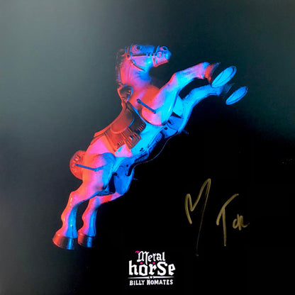 Billy Nomates : Metal Horse (LP, Album, Sil)