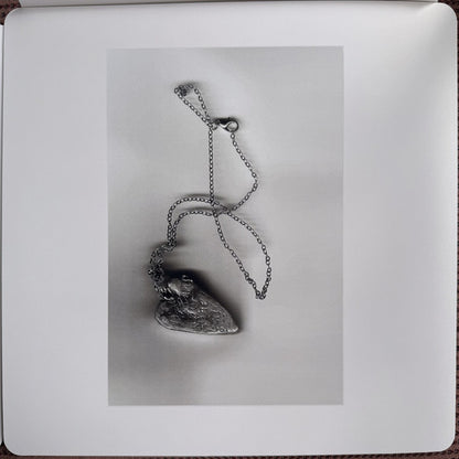White Flowers : Dreams For Somebody Else (LP, Album, Ltd, Tra + CD, Album, Ltd + Ltd, Num)