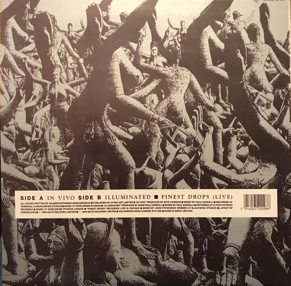 Wire : In Vivo (12", Single)