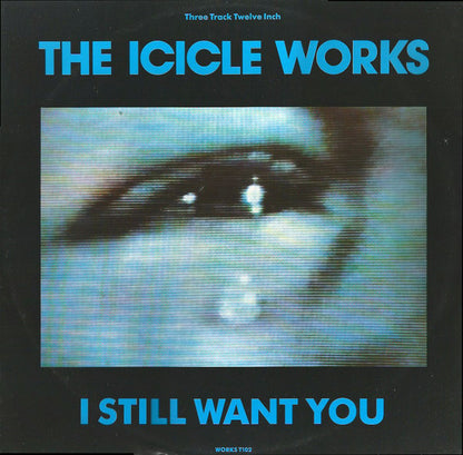 The Icicle Works : I Still Want You (12")