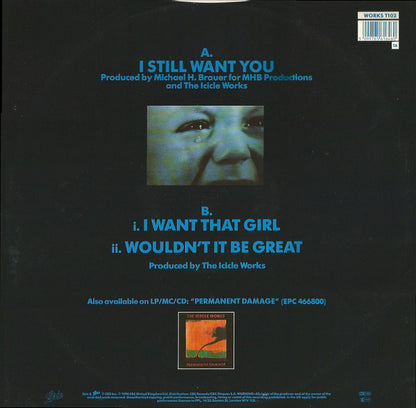 The Icicle Works : I Still Want You (12")