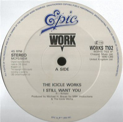 The Icicle Works : I Still Want You (12")