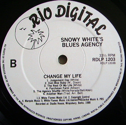 Snowy White's Blues Agency : Change My Life (LP, Album)