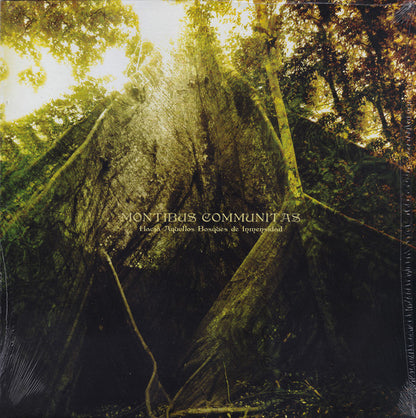 Montibus Communitas : Hacia Aquellos Bosques De Inmensidad (LP, Album, Ltd, Col)