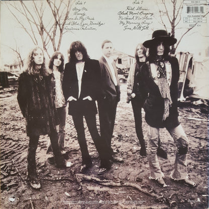 The Black Crowes : The Southern Harmony And Musical Companion (LP, Album)