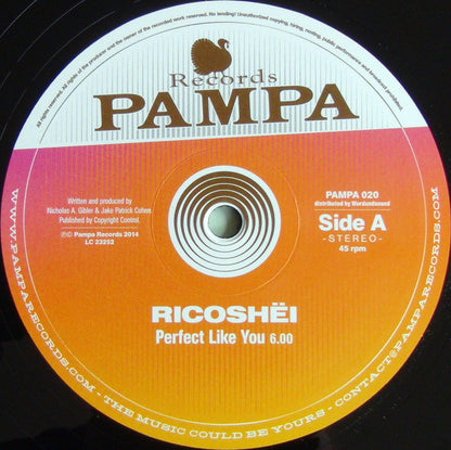 Ricoshëi, Dave DK : Perfect Like You / Woolloomooloo (12")