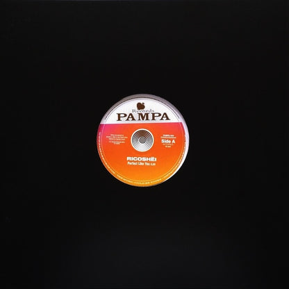 Ricoshëi, Dave DK : Perfect Like You / Woolloomooloo (12")