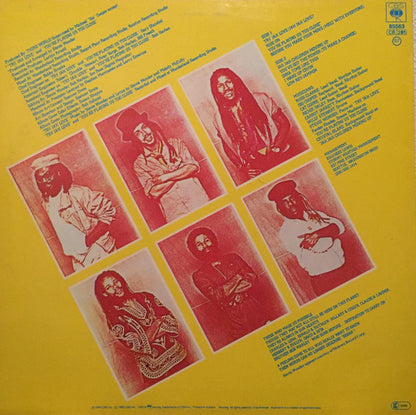 Third World : You've Got The Power (LP, Album)