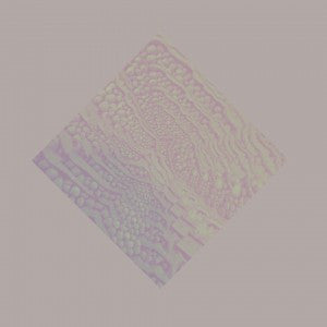 Al Lover : Cave Ritual  (LP, Album, Ltd, Pur)