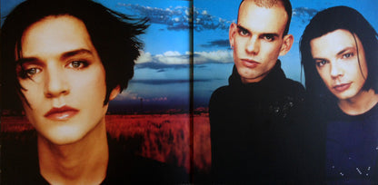Placebo : Black Market Music (LP, Album, RE, RM, Wal)