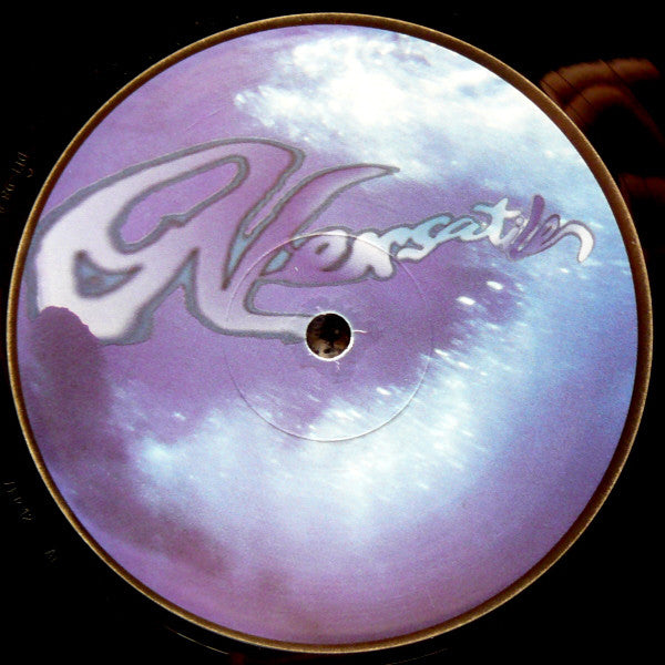 Mike 303 : St Sylvestre (12")