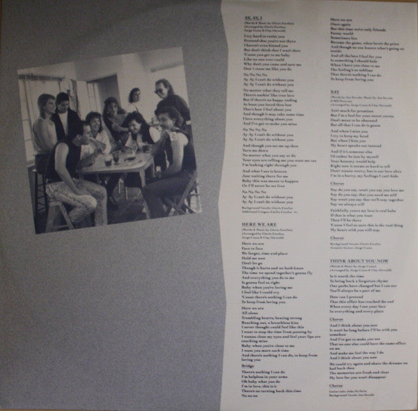 Gloria Estefan : Cuts Both Ways (LP, Album)