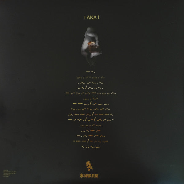 Ash Koosha : I AKA I (LP, Album, Cle)